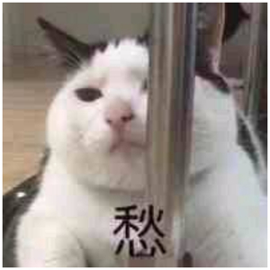 人c交ZZZ0OOZZZ0002022
